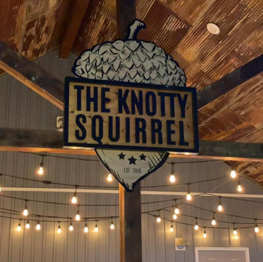 Knotty Squirrel Cabins เมาน์เทนวิว ภายนอก รูปภาพ