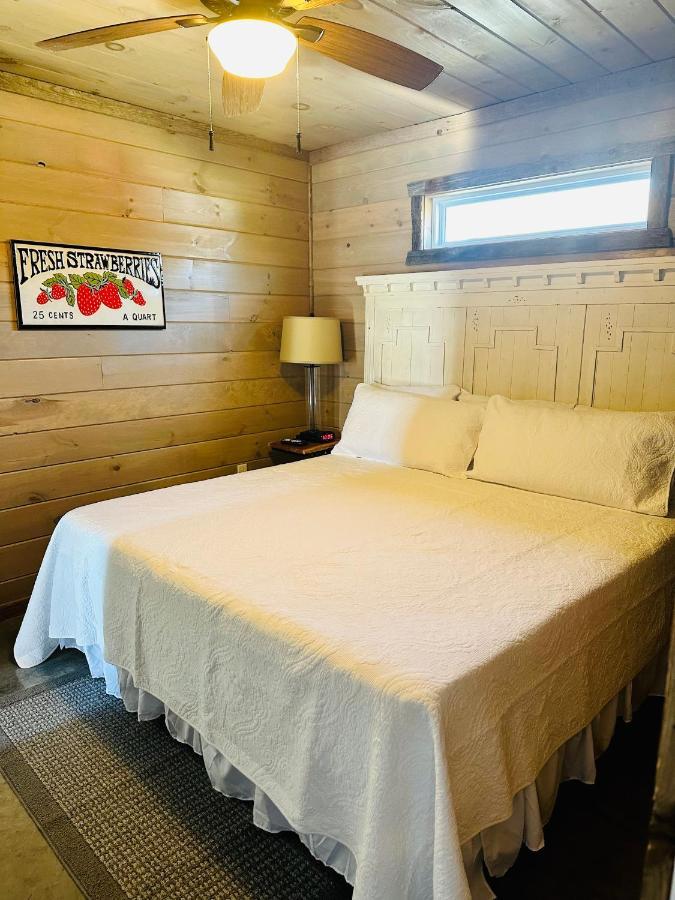 Knotty Squirrel Cabins เมาน์เทนวิว ภายนอก รูปภาพ