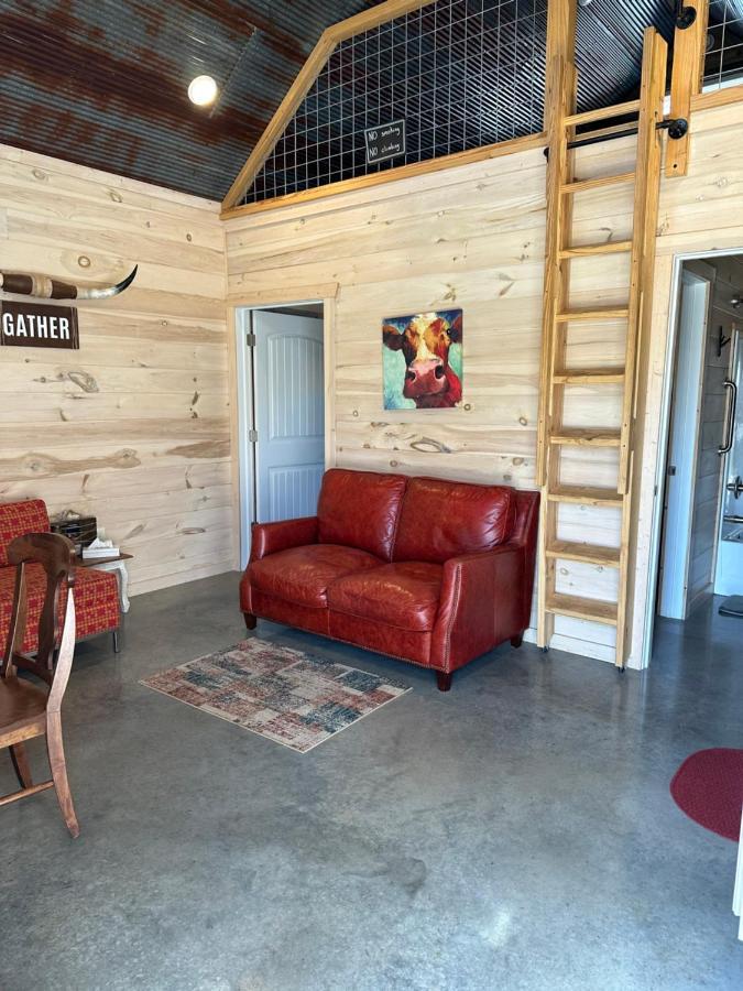 Knotty Squirrel Cabins เมาน์เทนวิว ภายนอก รูปภาพ
